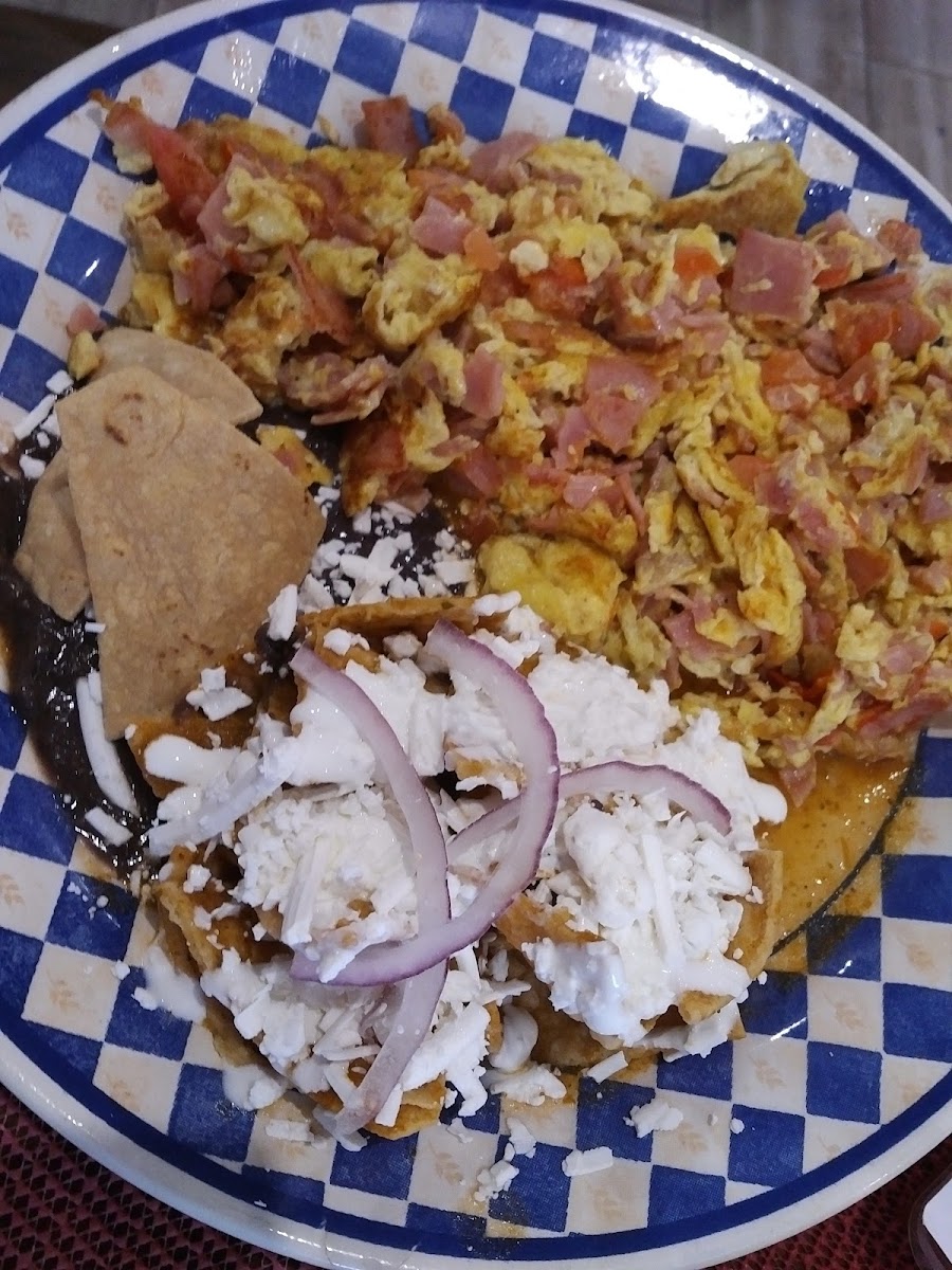 El Volado Restaurant-8